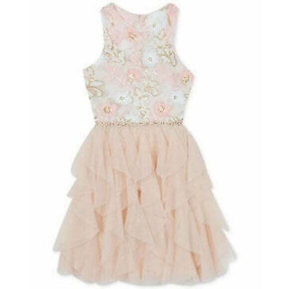 Rare Editions Big Girls Plus-Size Sequin Embroidered Dress